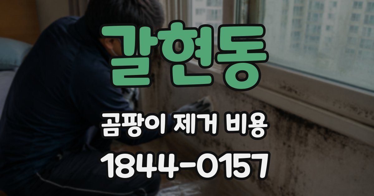 갈현동 곰팡이 제거 비용
