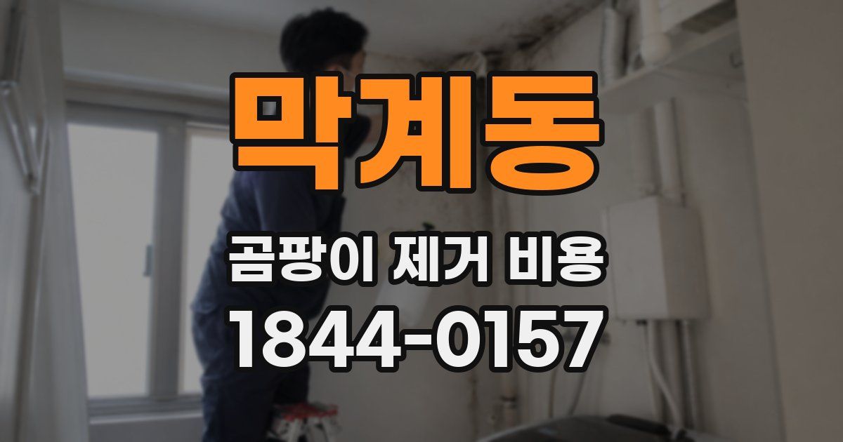 막계동 곰팡이 제거 비용