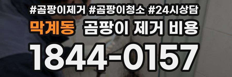 막계동 곰팡이 제거 비용