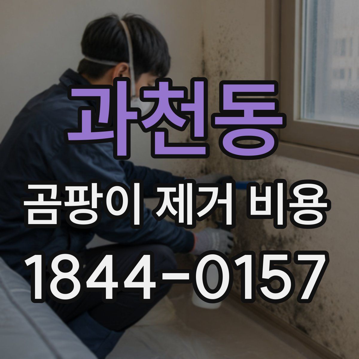 과천동 곰팡이 제거 비용
