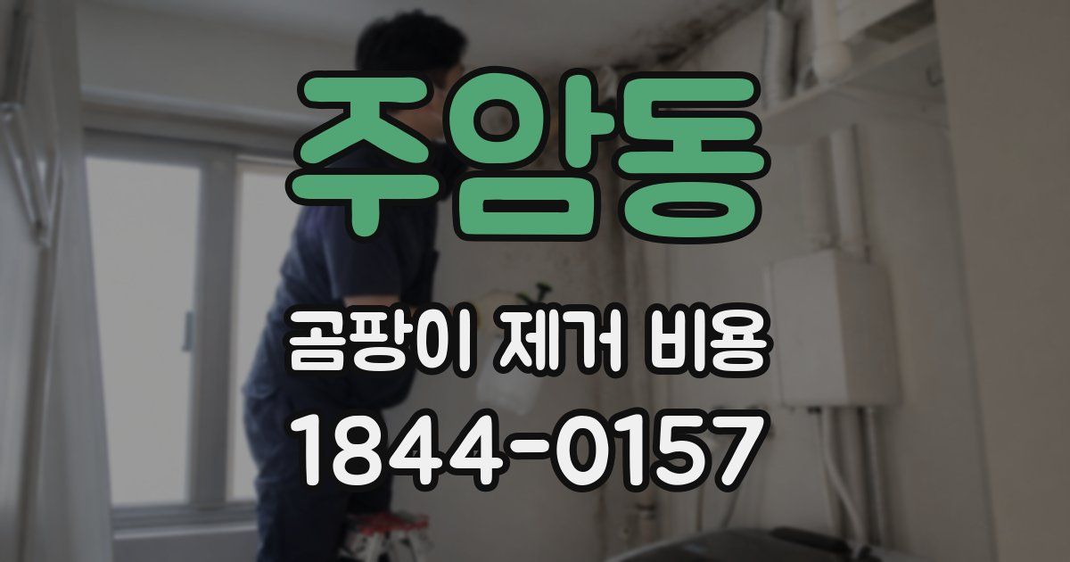 주암동 곰팡이 제거 비용