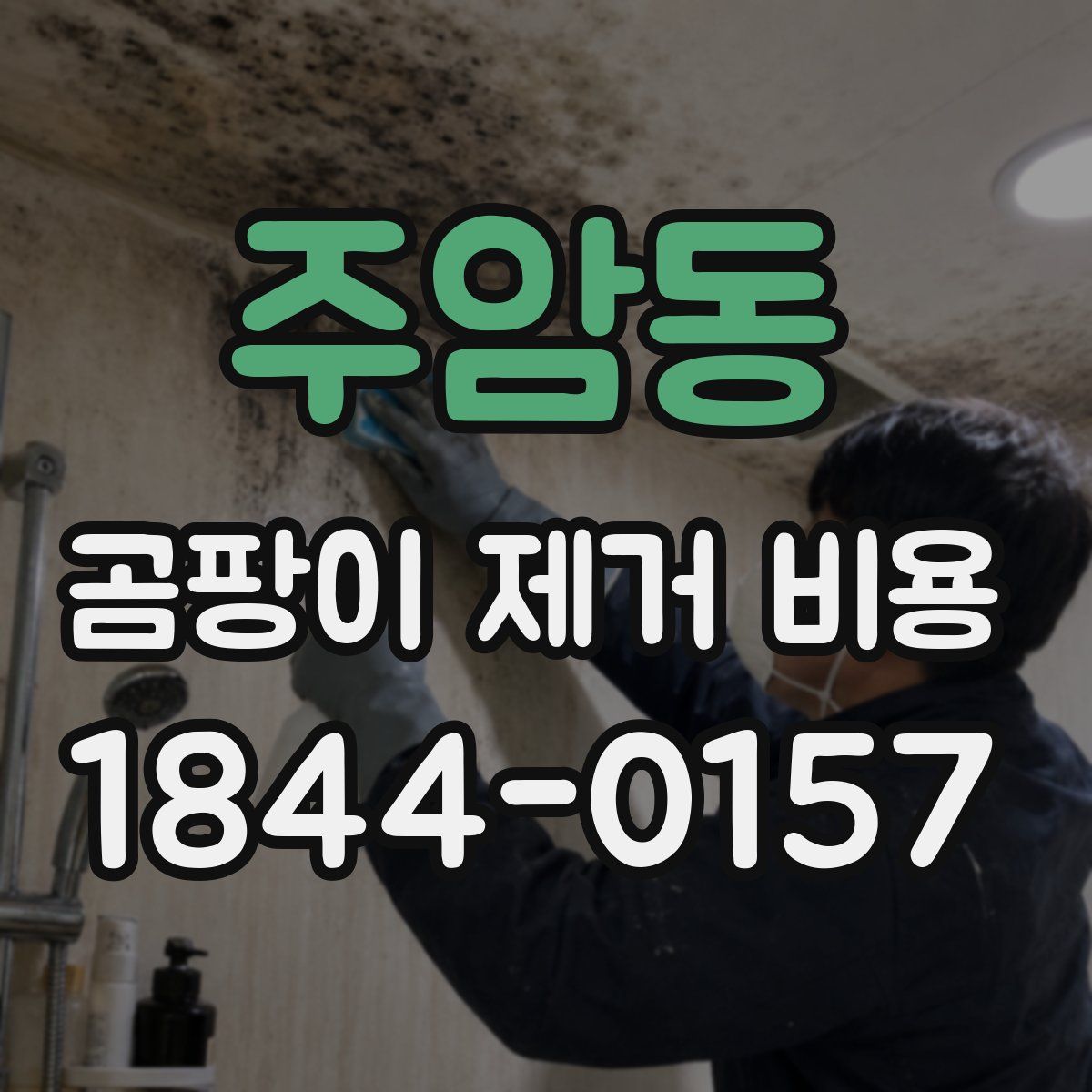 주암동 곰팡이 제거 비용