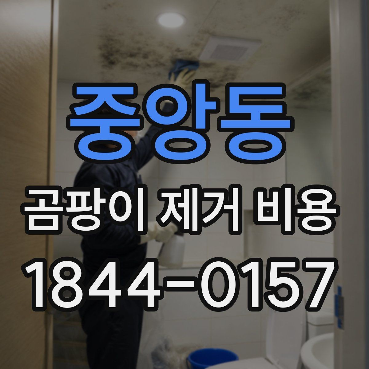 중앙동 곰팡이 제거 비용 가전제품 주변 오염 처리 시 확인할 점