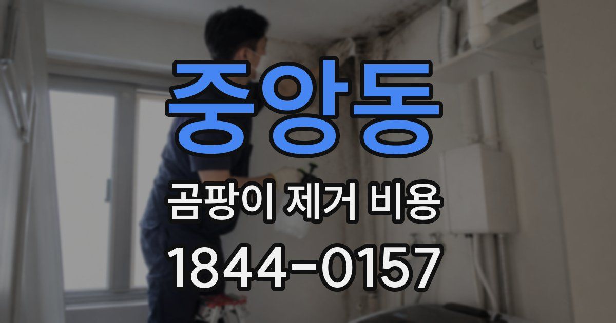 중앙동 곰팡이 제거 비용