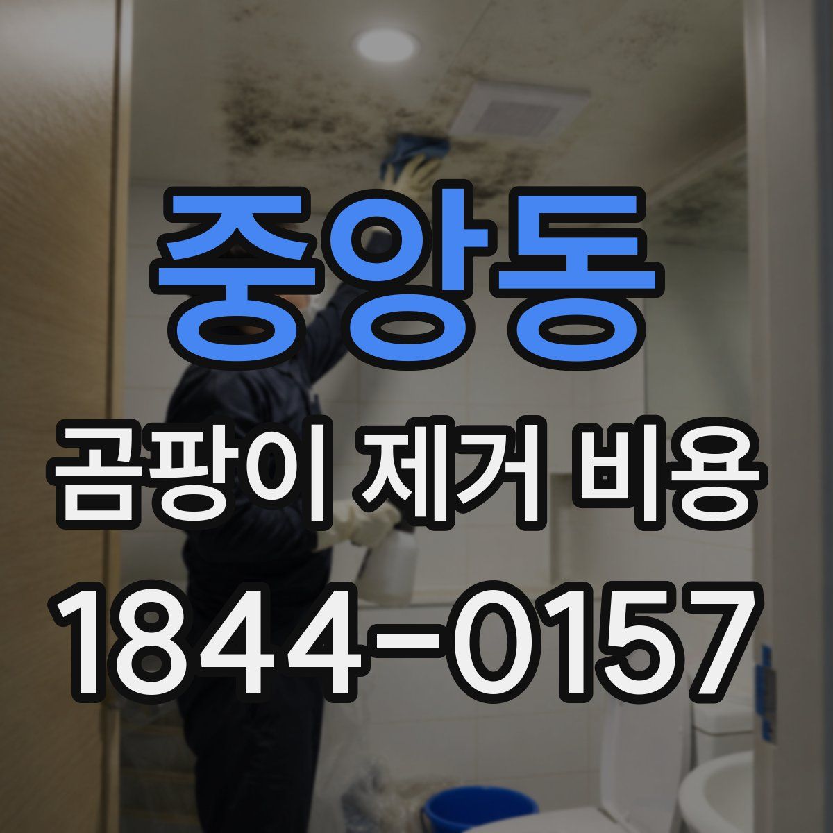 중앙동 곰팡이 제거 비용