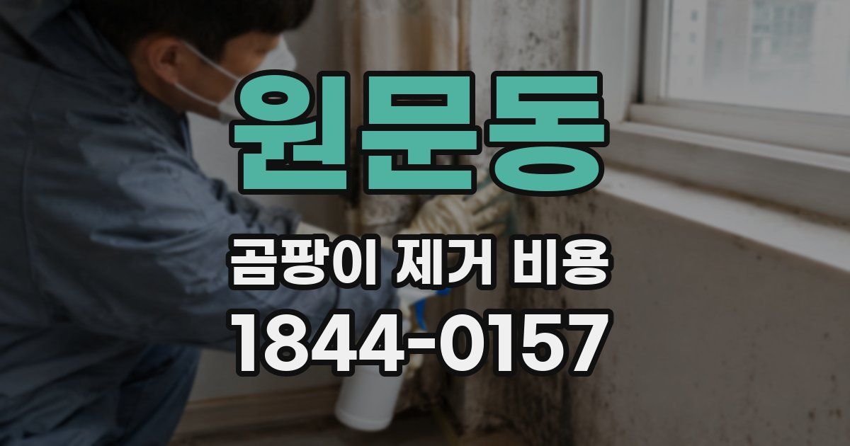 원문동 곰팡이 제거 비용