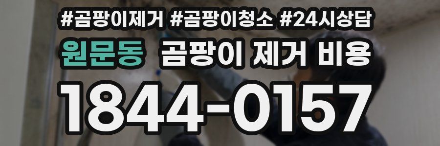 원문동 곰팡이 제거 비용