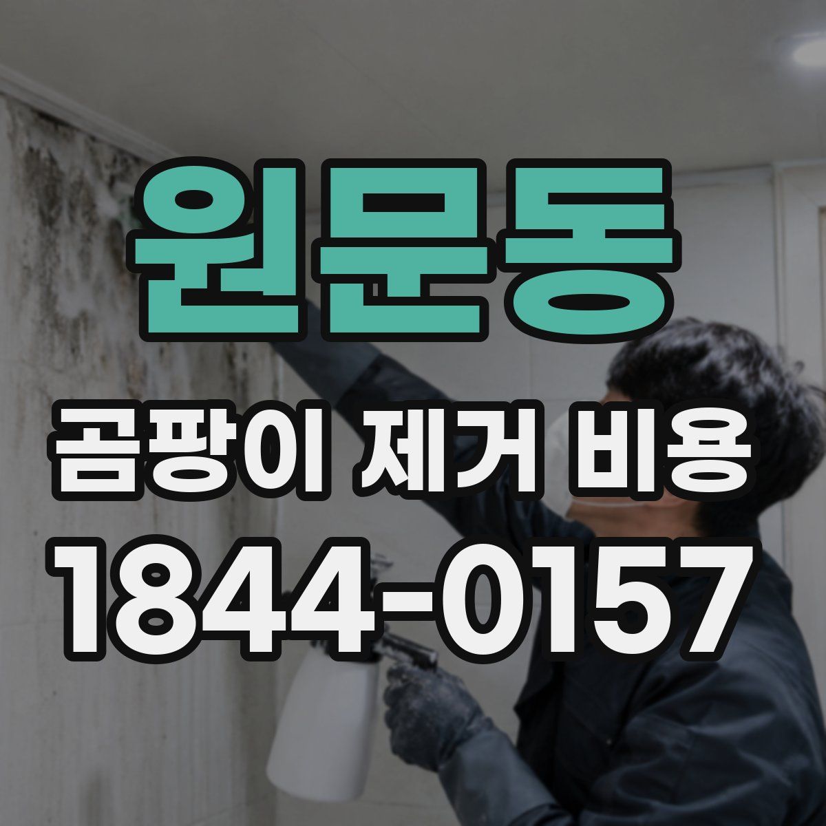 원문동 곰팡이 제거 비용
