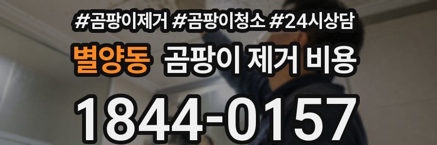별양동 곰팡이 제거 비용