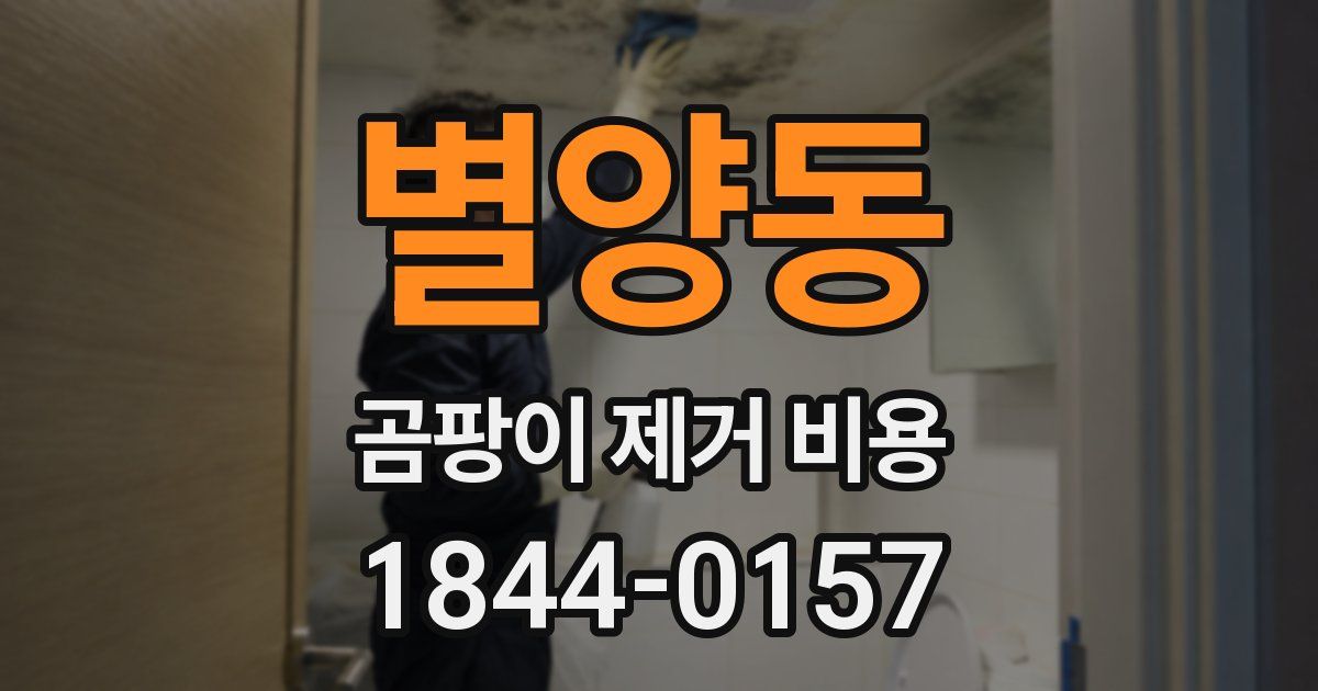 별양동 곰팡이 제거 비용
