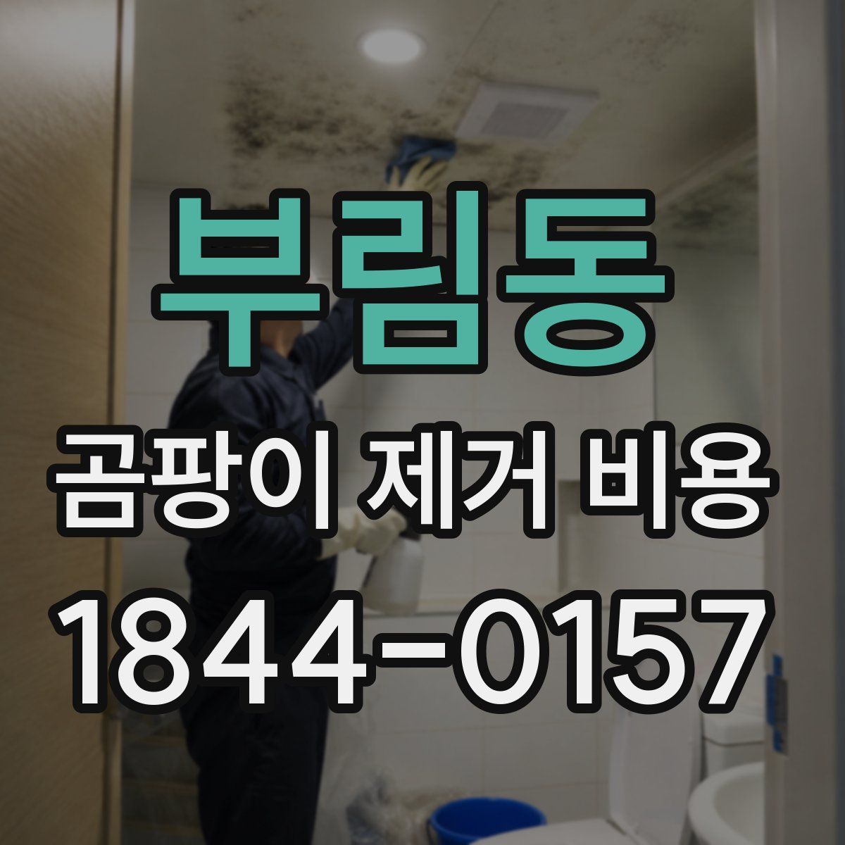 부림동 곰팡이 제거 비용