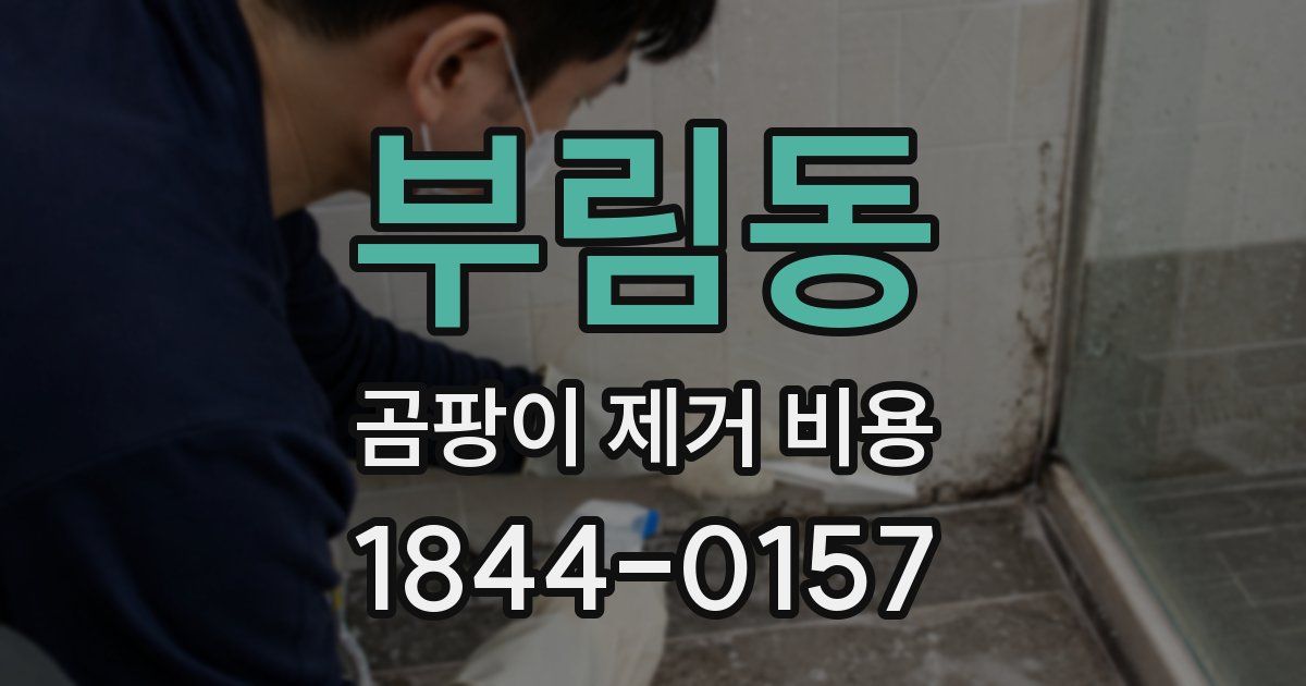 부림동 곰팡이 제거 비용