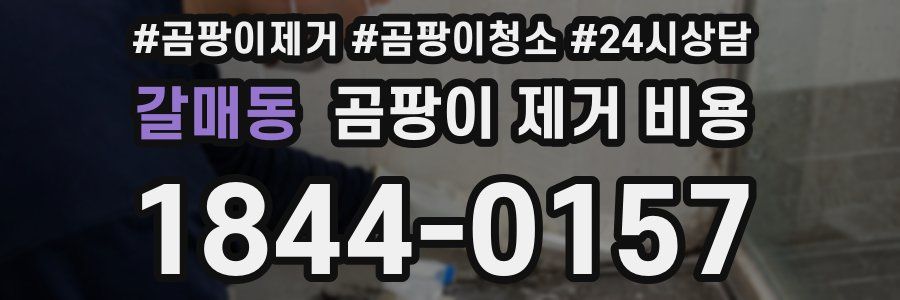 갈매동 곰팡이 제거 비용