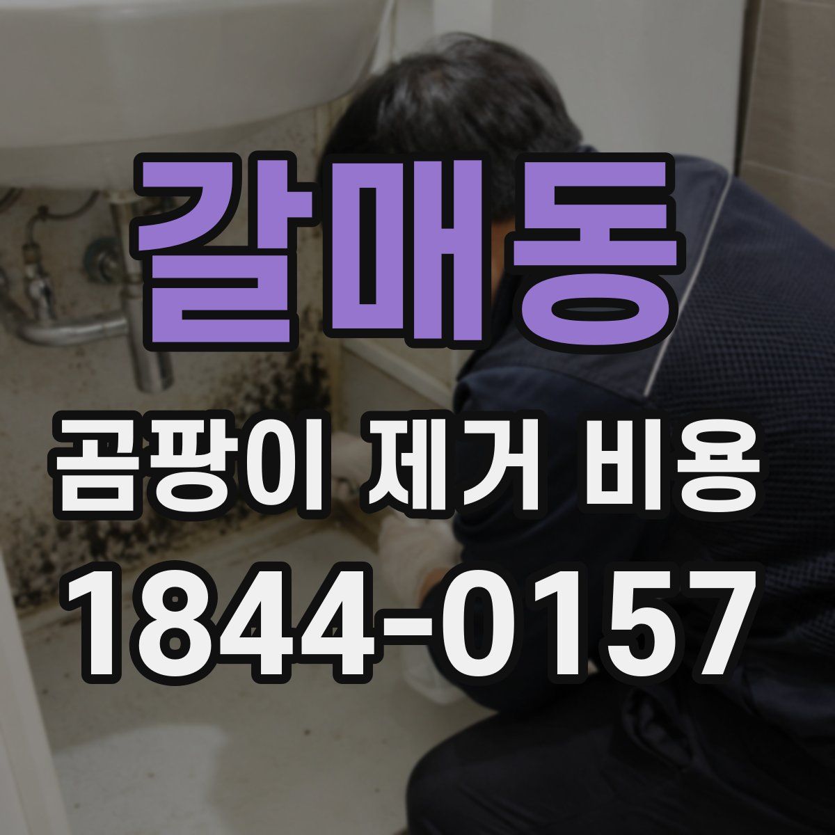 갈매동 곰팡이 제거 비용