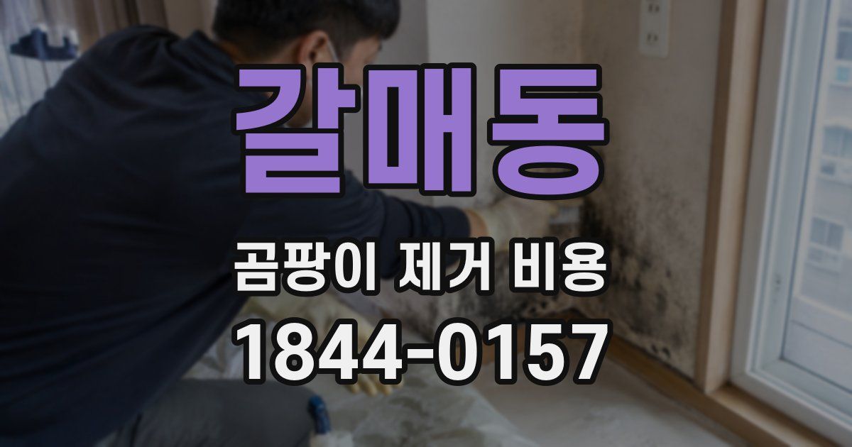 갈매동 곰팡이 제거 비용