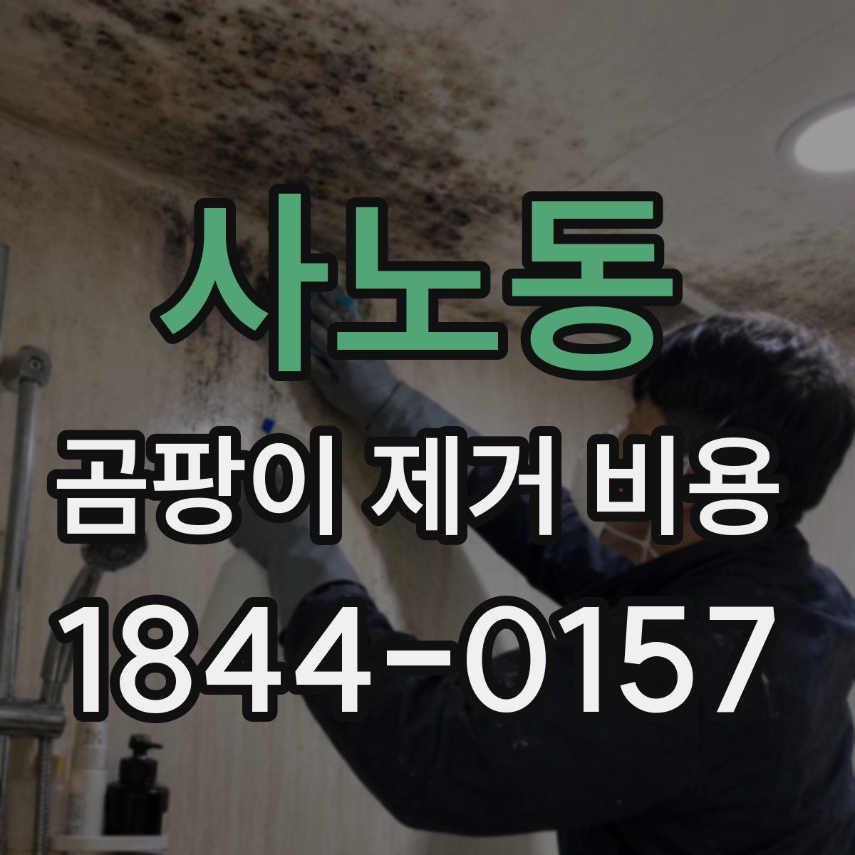 사노동 곰팡이 제거 비용