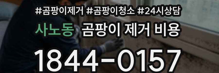 사노동 곰팡이 제거 비용