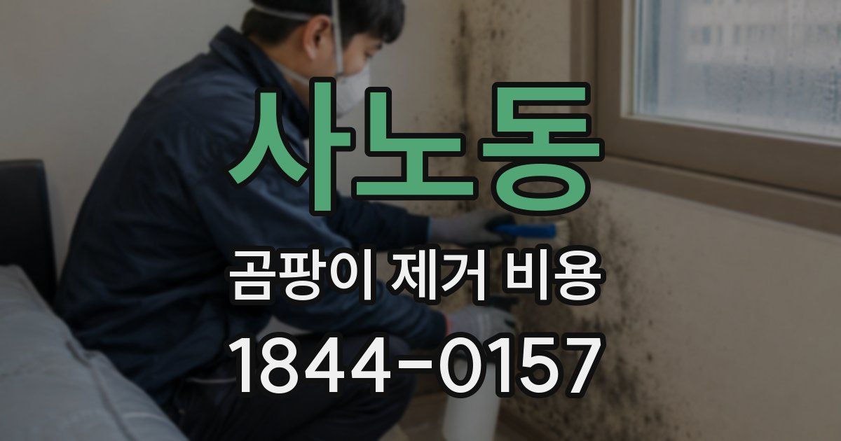 사노동 곰팡이 제거 비용