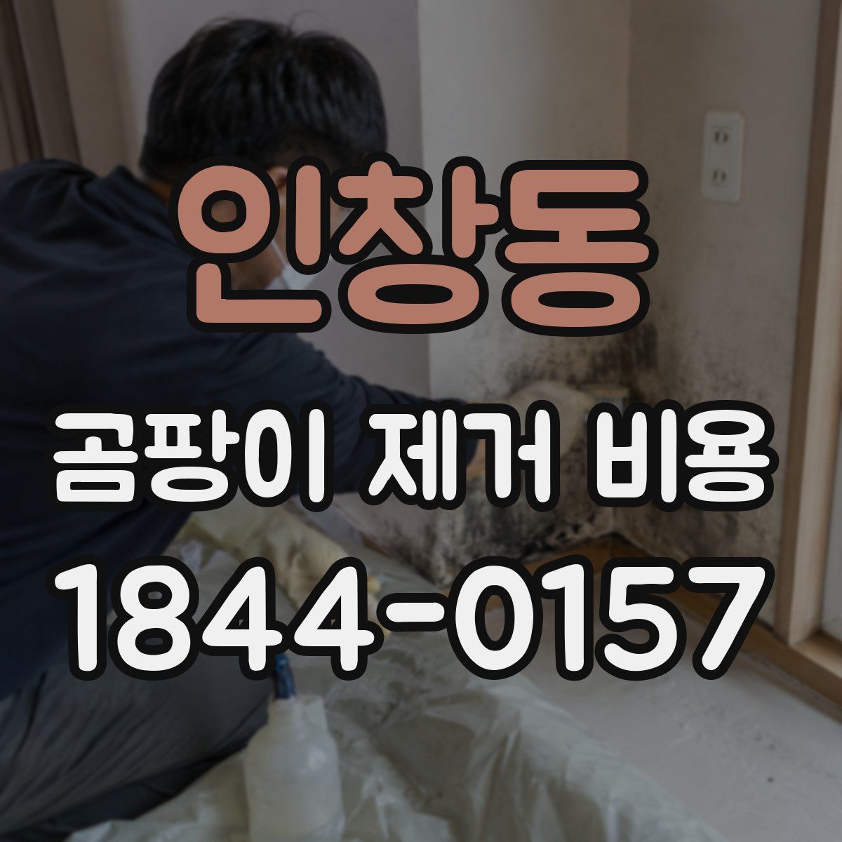 인창동 곰팡이 제거 비용