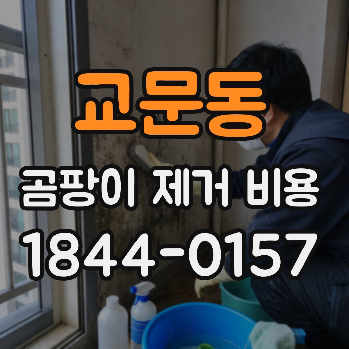 교문동 곰팡이 제거 비용