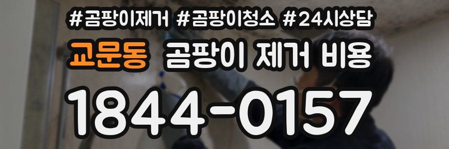교문동 곰팡이 제거 비용