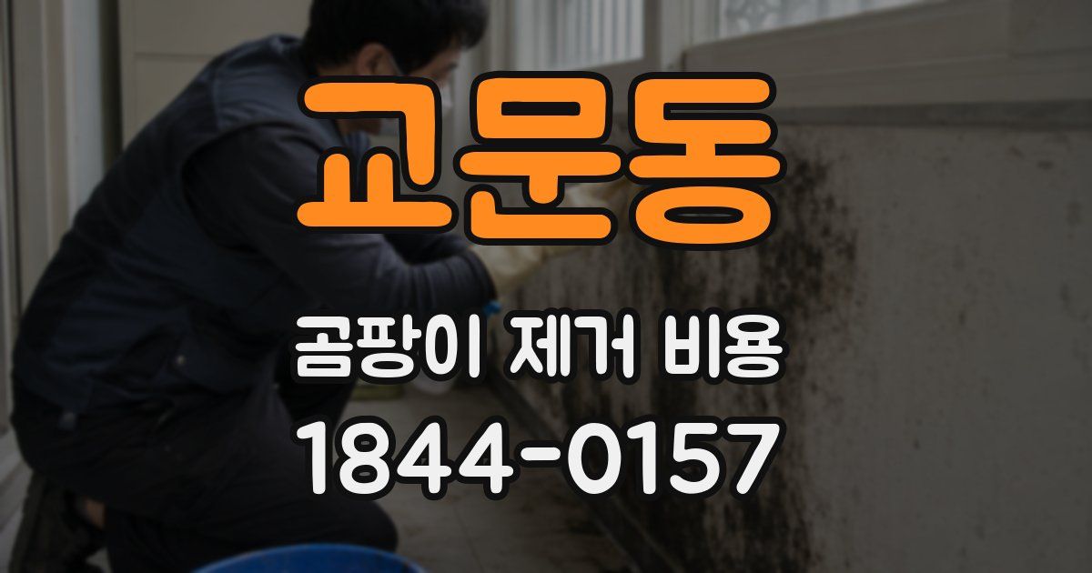교문동 곰팡이 제거 비용