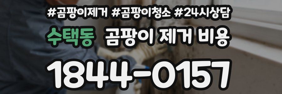 수택동 곰팡이 제거 비용
