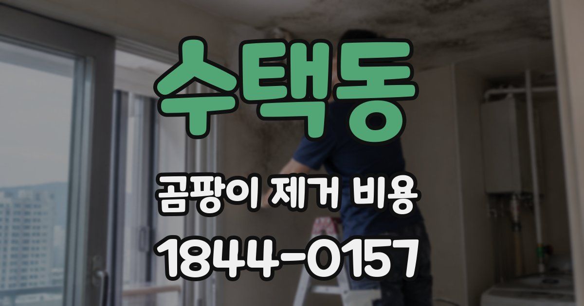 수택동 곰팡이 제거 비용