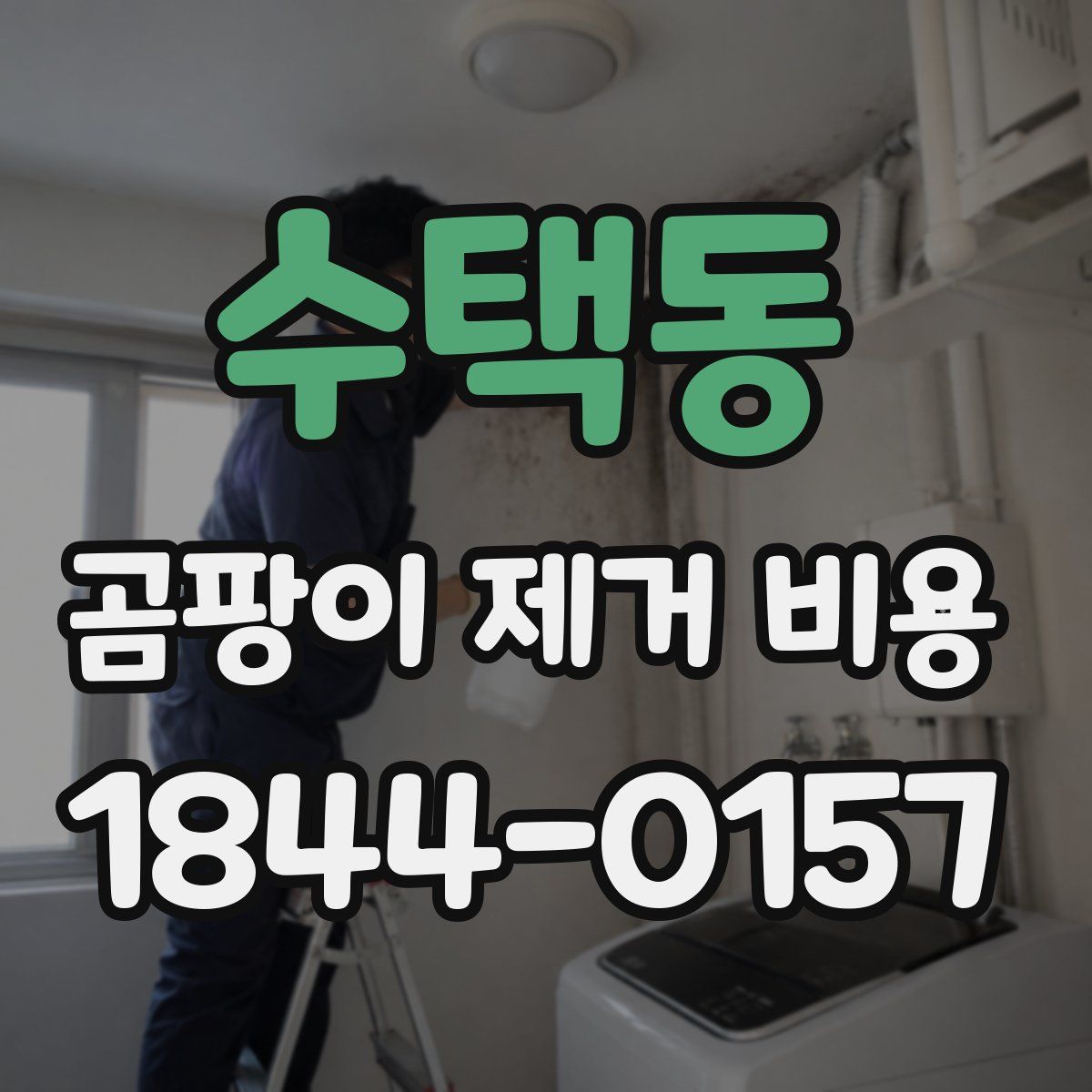 수택동 곰팡이 제거 비용