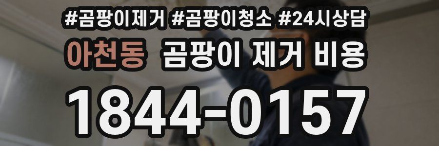 아천동 곰팡이 제거 비용