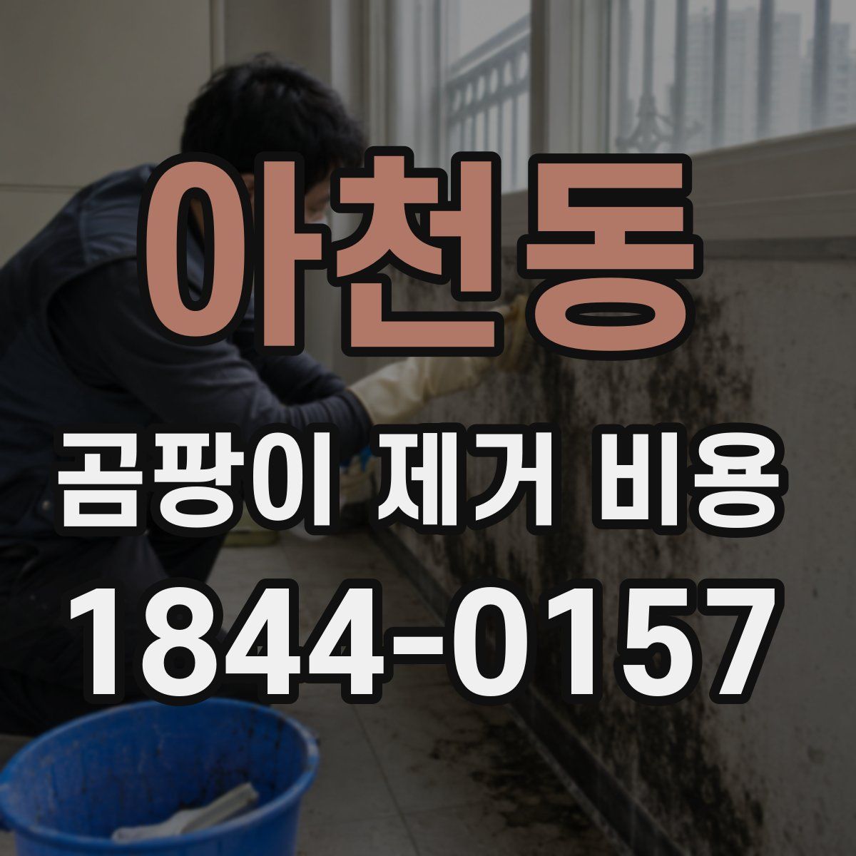 아천동 곰팡이 제거 비용