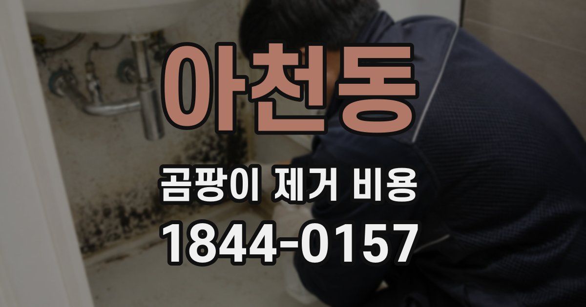 아천동 곰팡이 제거 비용