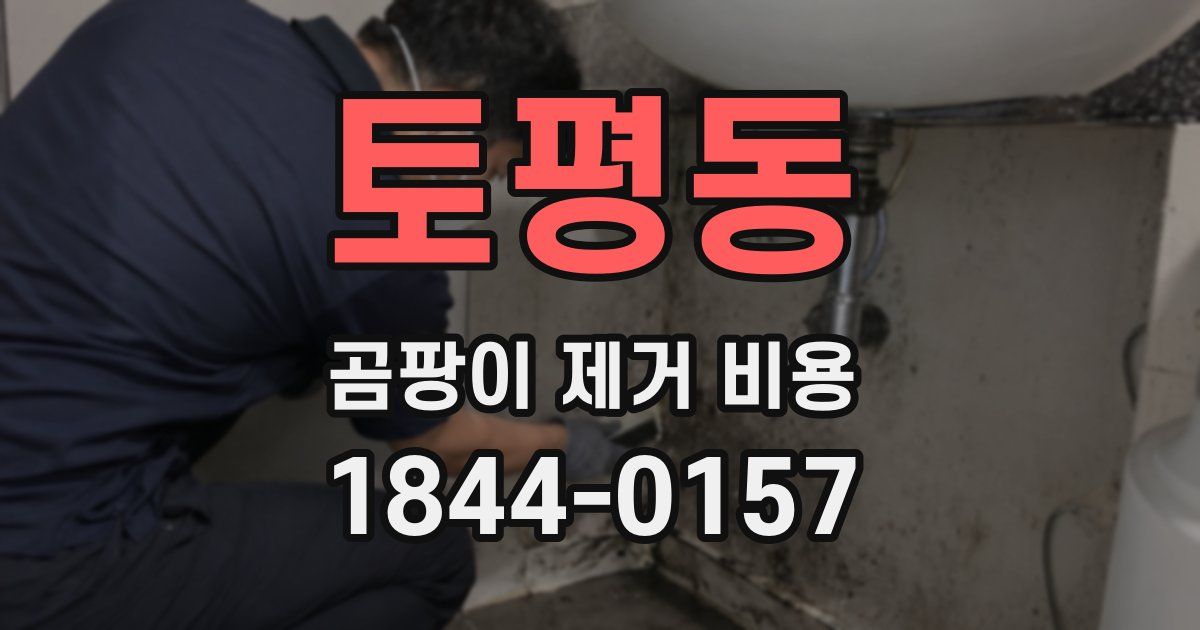 토평동 곰팡이 제거 비용