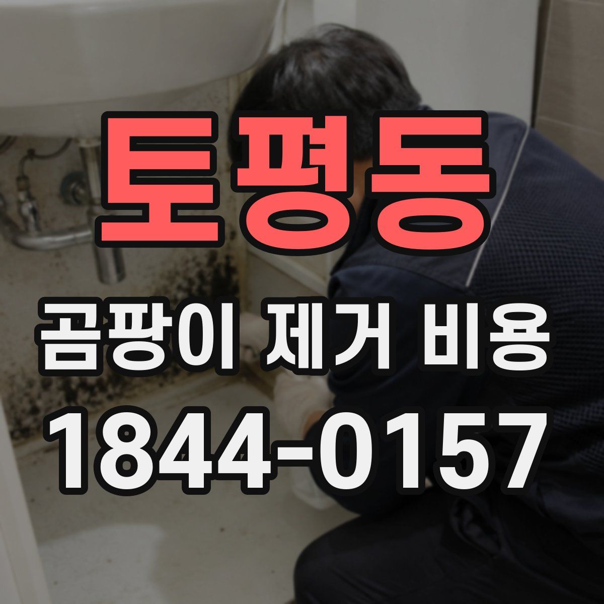 토평동 곰팡이 제거 비용