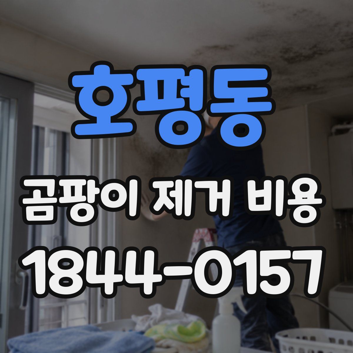 호평동 곰팡이 제거 비용
