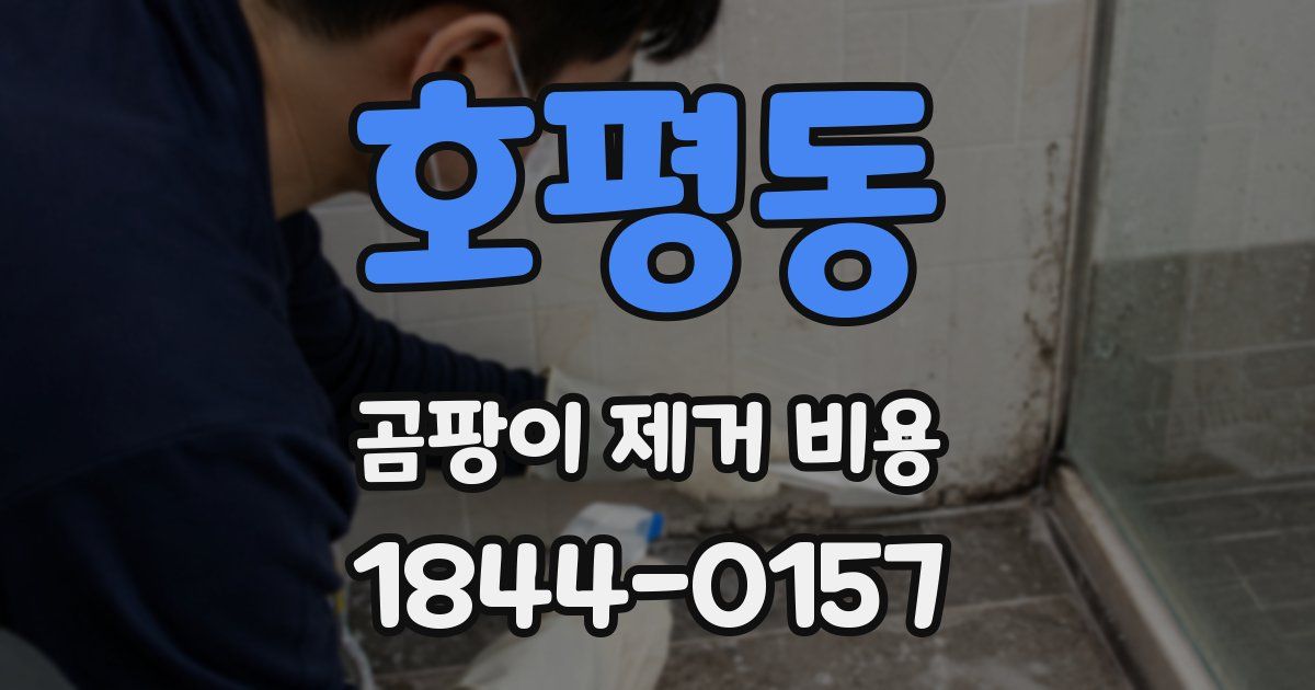 호평동 곰팡이 제거 비용