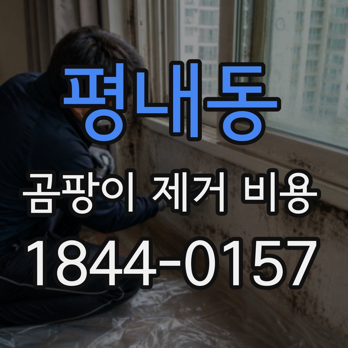 평내동 곰팡이 제거 비용