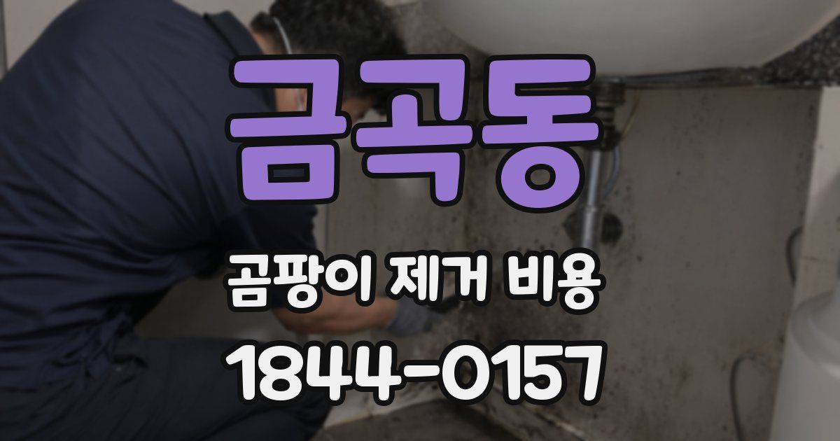 금곡동 곰팡이 제거 비용