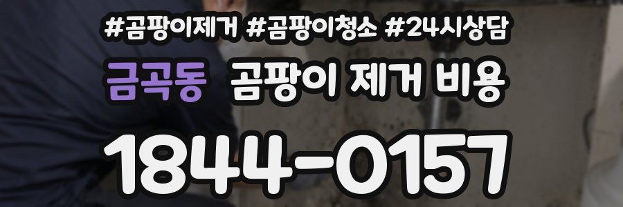 금곡동 곰팡이 제거 비용