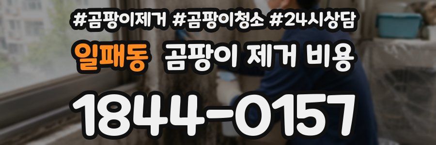 일패동 곰팡이 제거 비용