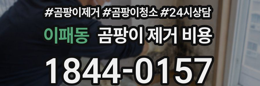 이패동 곰팡이 제거 비용