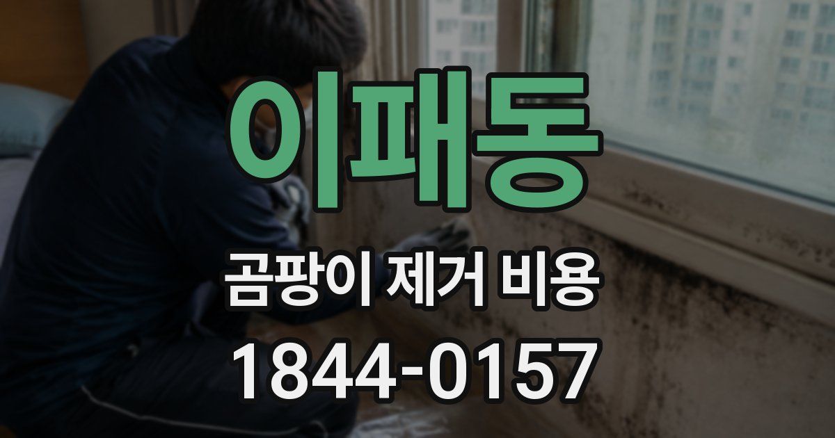이패동 곰팡이 제거 비용