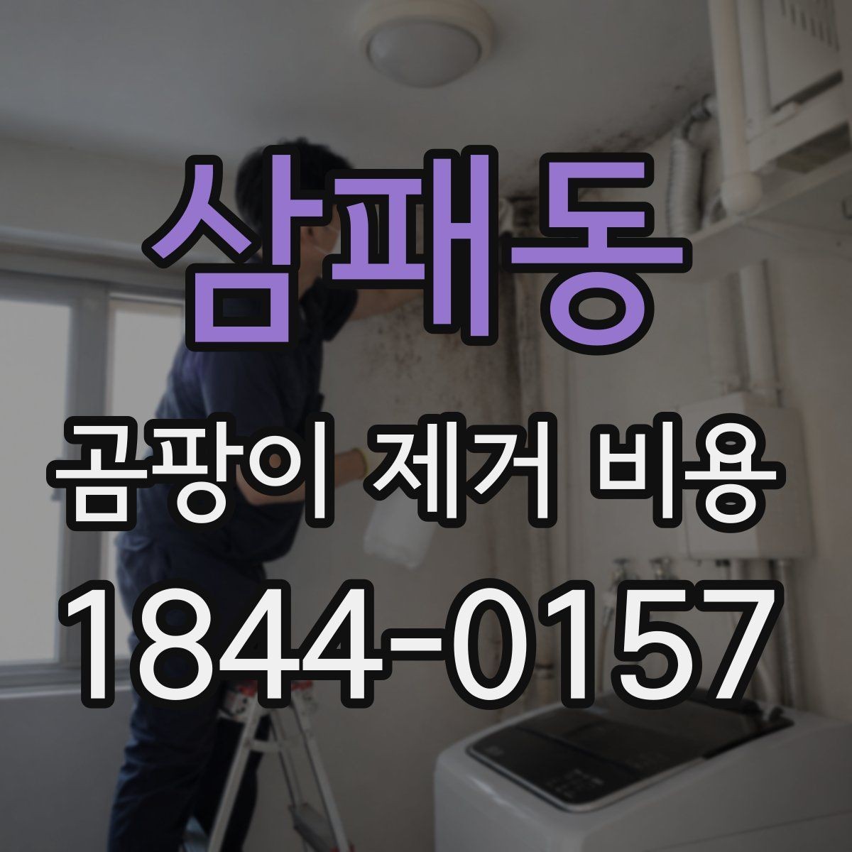 삼패동 곰팡이 제거 비용 오염 색상별 처리 범위 차이 정리