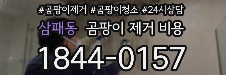 삼패동 곰팡이 제거 비용