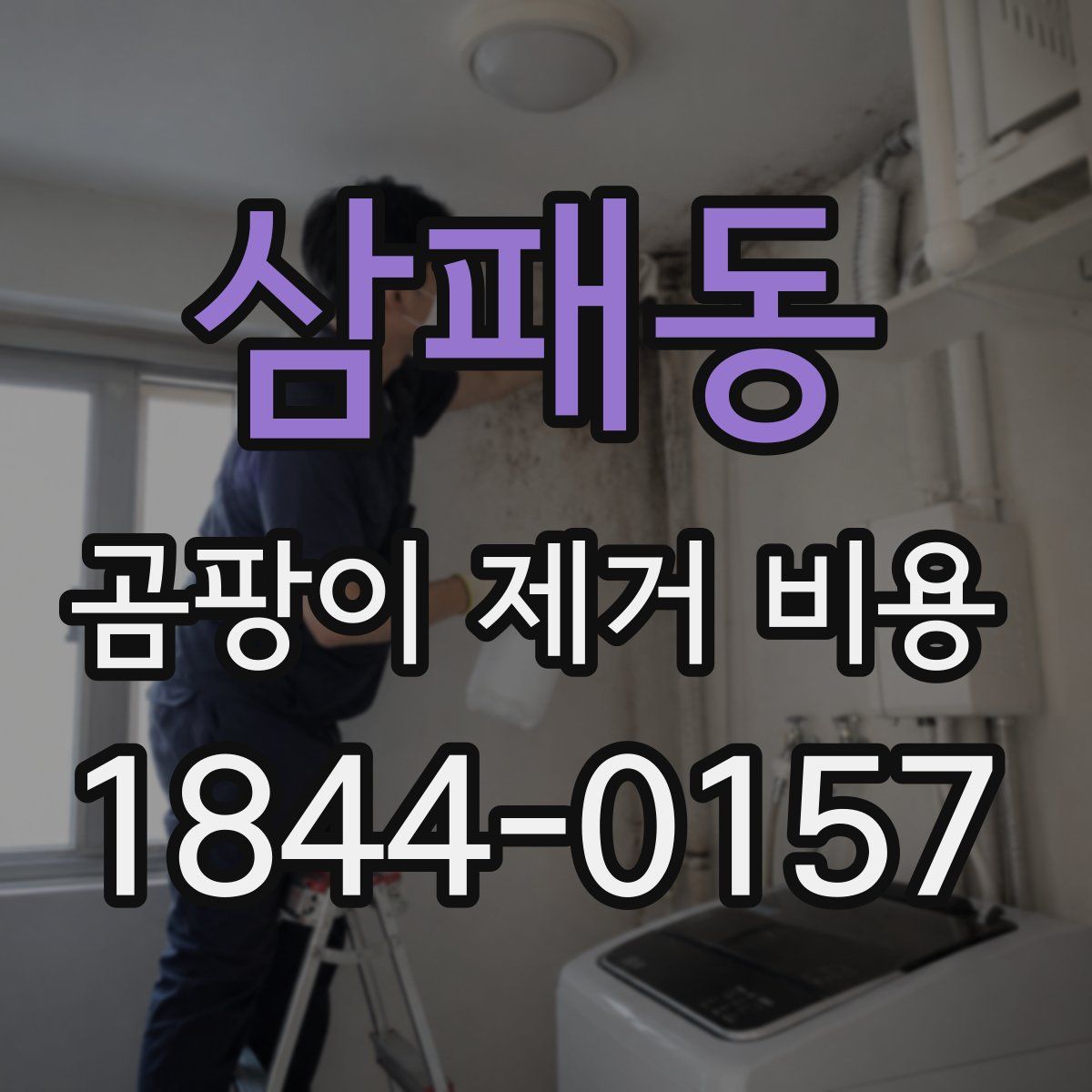 삼패동 곰팡이 제거 비용