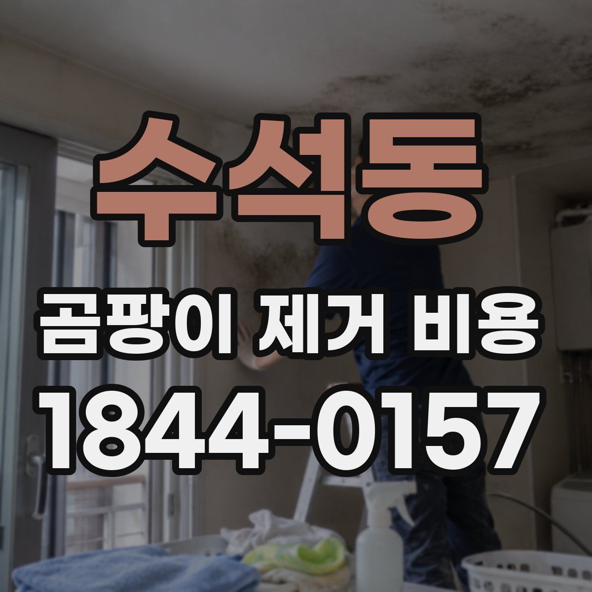 수석동 곰팡이 제거 비용