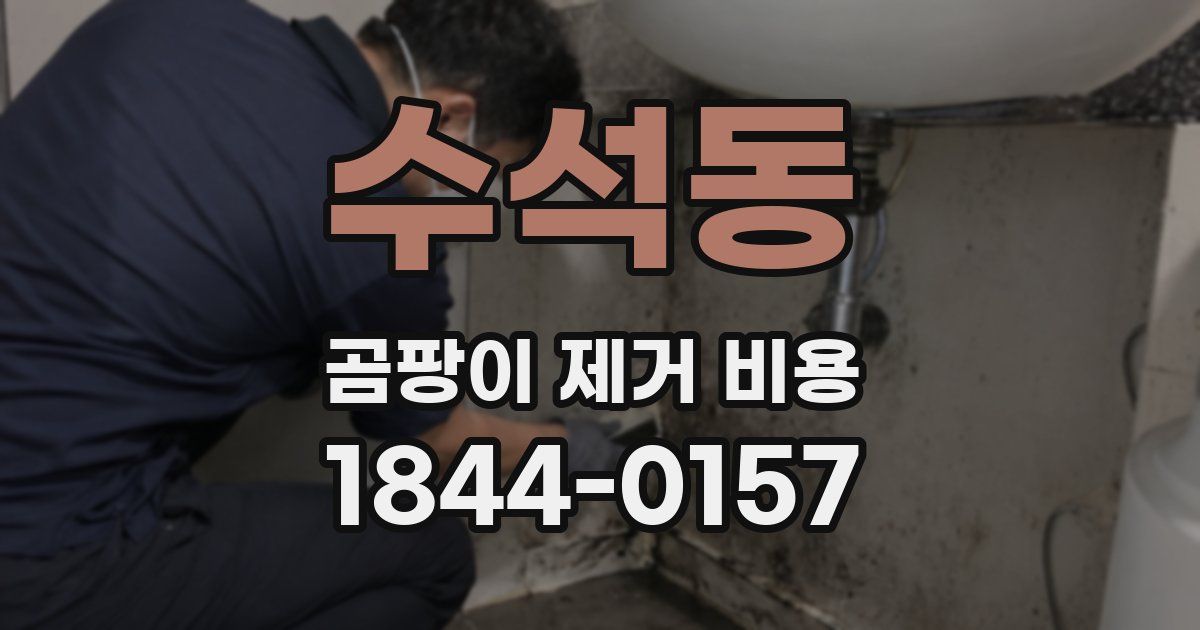 수석동 곰팡이 제거 비용