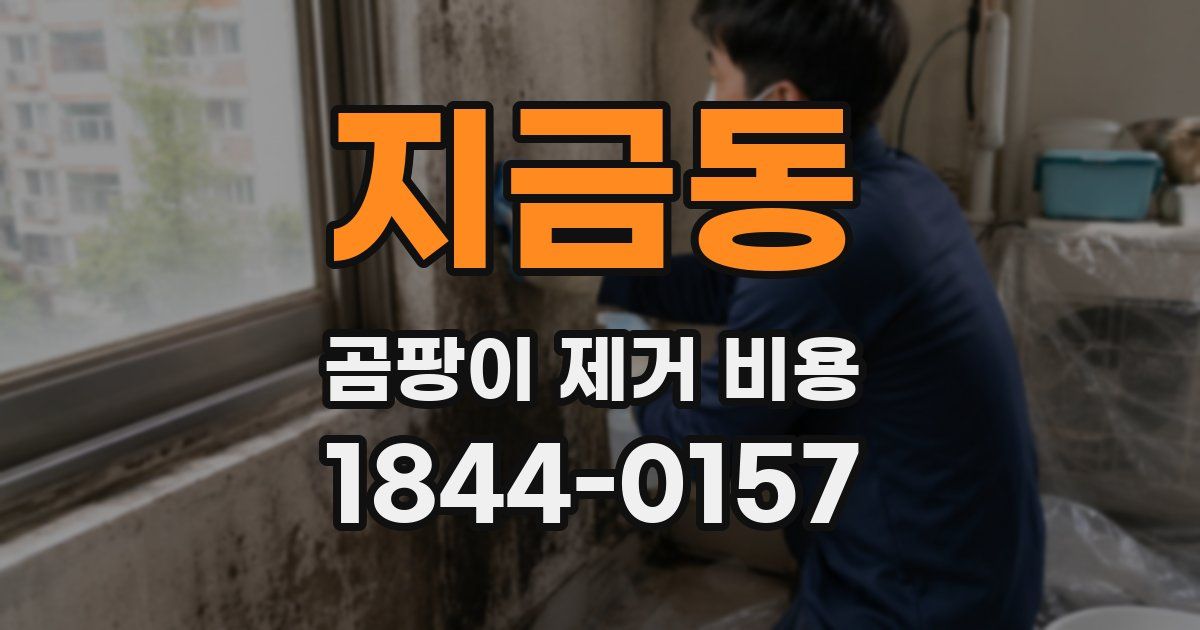 지금동 곰팡이 제거 비용