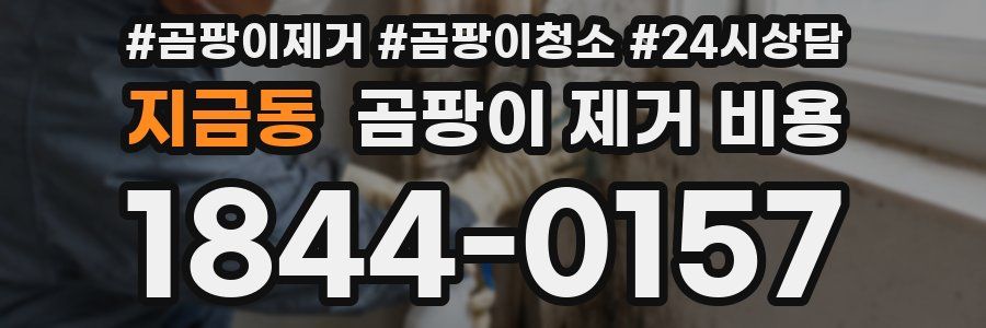 지금동 곰팡이 제거 비용