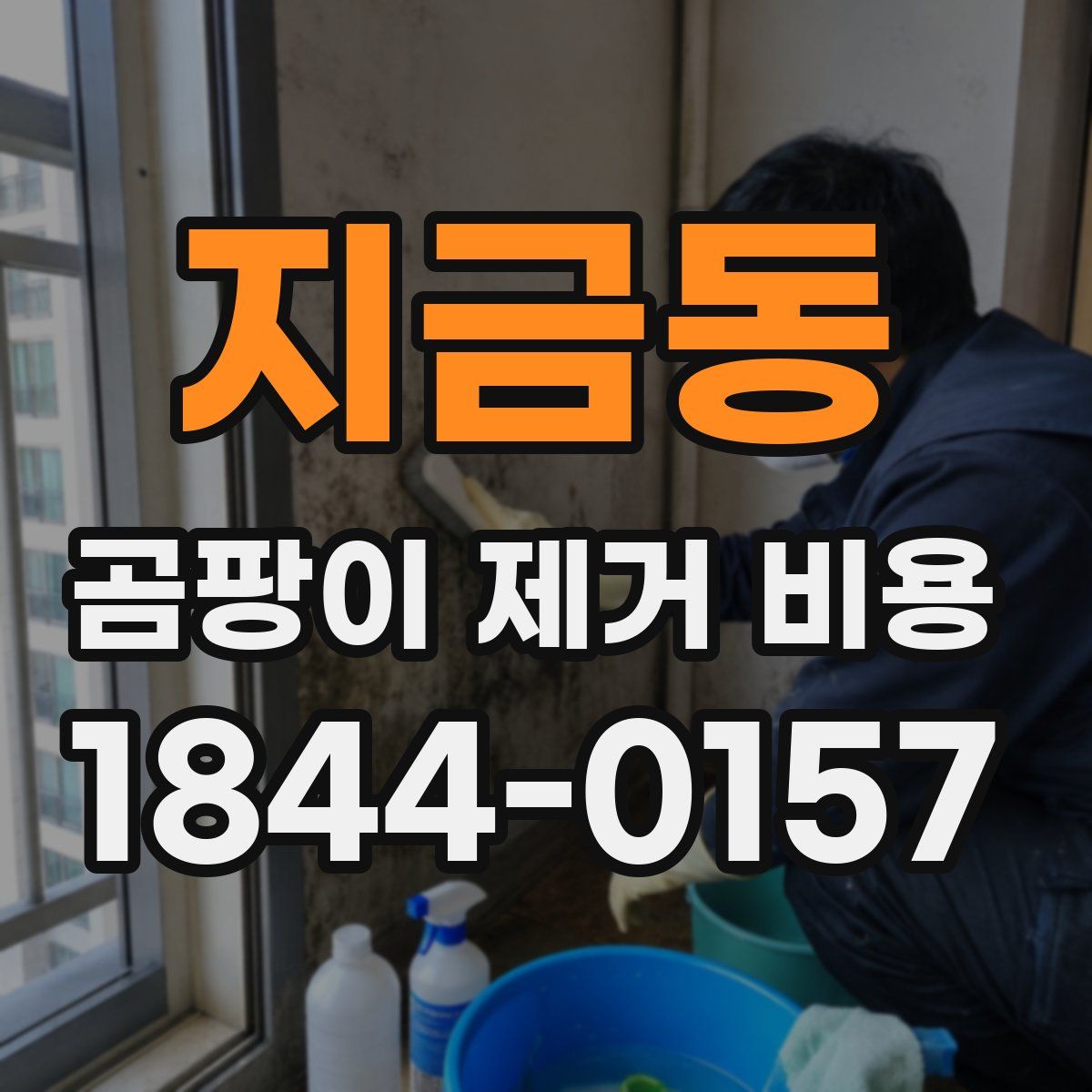 지금동 곰팡이 제거 비용